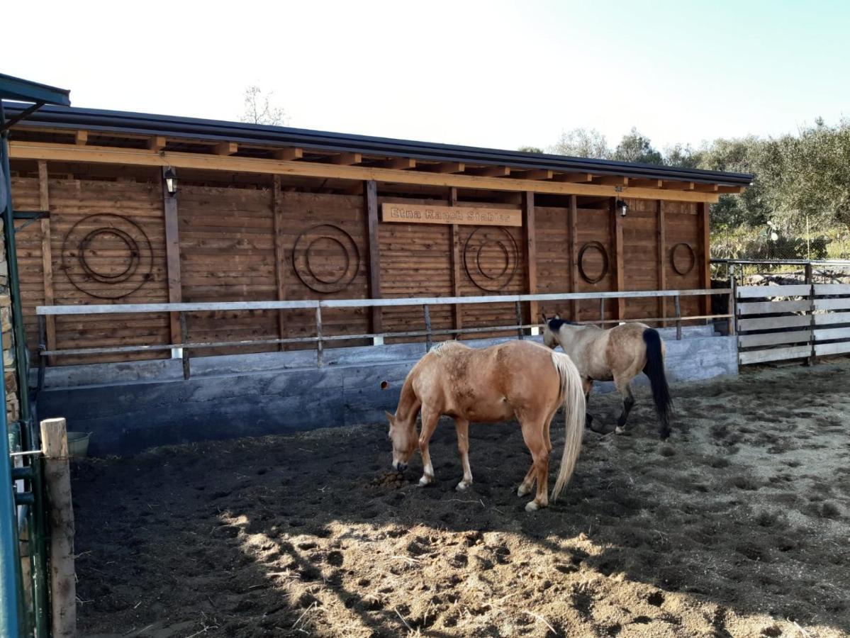 B&B Etna Ranch Piedimonte Etneo Esterno foto