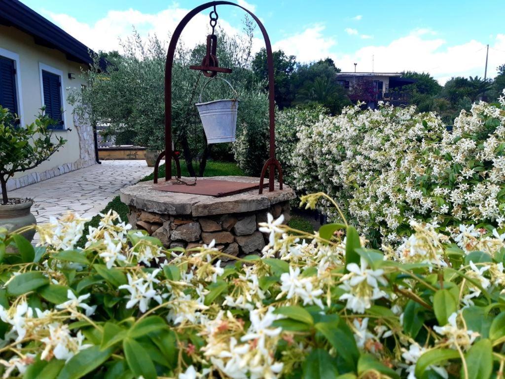 B&B Etna Ranch Piedimonte Etneo Esterno foto